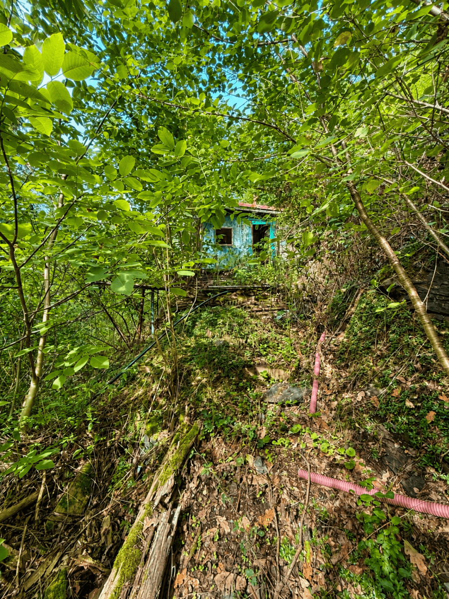 Prodej chaty, chalupy 32 m², pozemek 1.313 m², Draháňské údolí, Zdiby, Středočeský kraj Prodej chaty, chalupy 32 m², pozemek 1.313 m², Draháňské údolí, Zdiby, Středočeský kraj