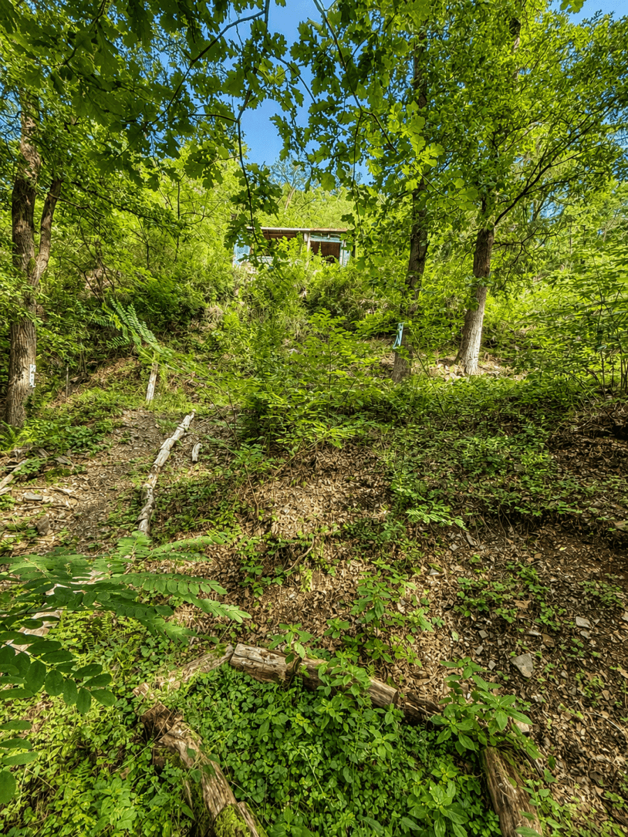 Prodej chaty, chalupy 32 m², pozemek 1.313 m², Draháňské údolí, Zdiby, Středočeský kraj Prodej chaty, chalupy 32 m², pozemek 1.313 m², Draháňské údolí, Zdiby, Středočeský kraj