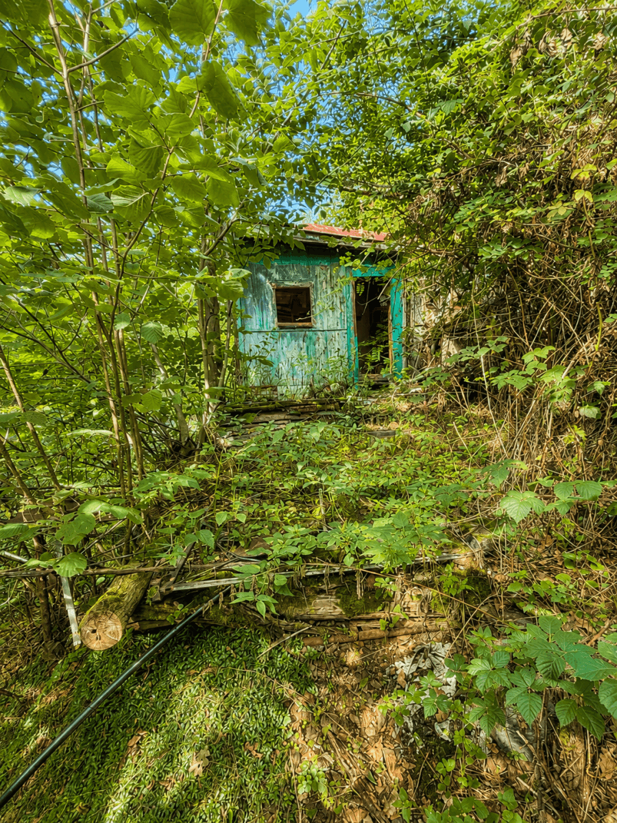 Prodej chaty, chalupy 32 m², pozemek 1.313 m², Draháňské údolí, Zdiby, Středočeský kraj Prodej chaty, chalupy 32 m², pozemek 1.313 m², Draháňské údolí, Zdiby, Středočeský kraj