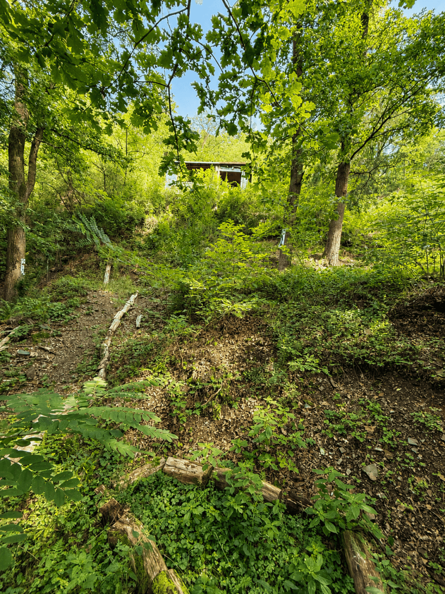 Prodej chaty, chalupy 32 m², pozemek 1.313 m², Draháňské údolí, Zdiby, Středočeský kraj Prodej chaty, chalupy 32 m², pozemek 1.313 m², Draháňské údolí, Zdiby, Středočeský kraj
