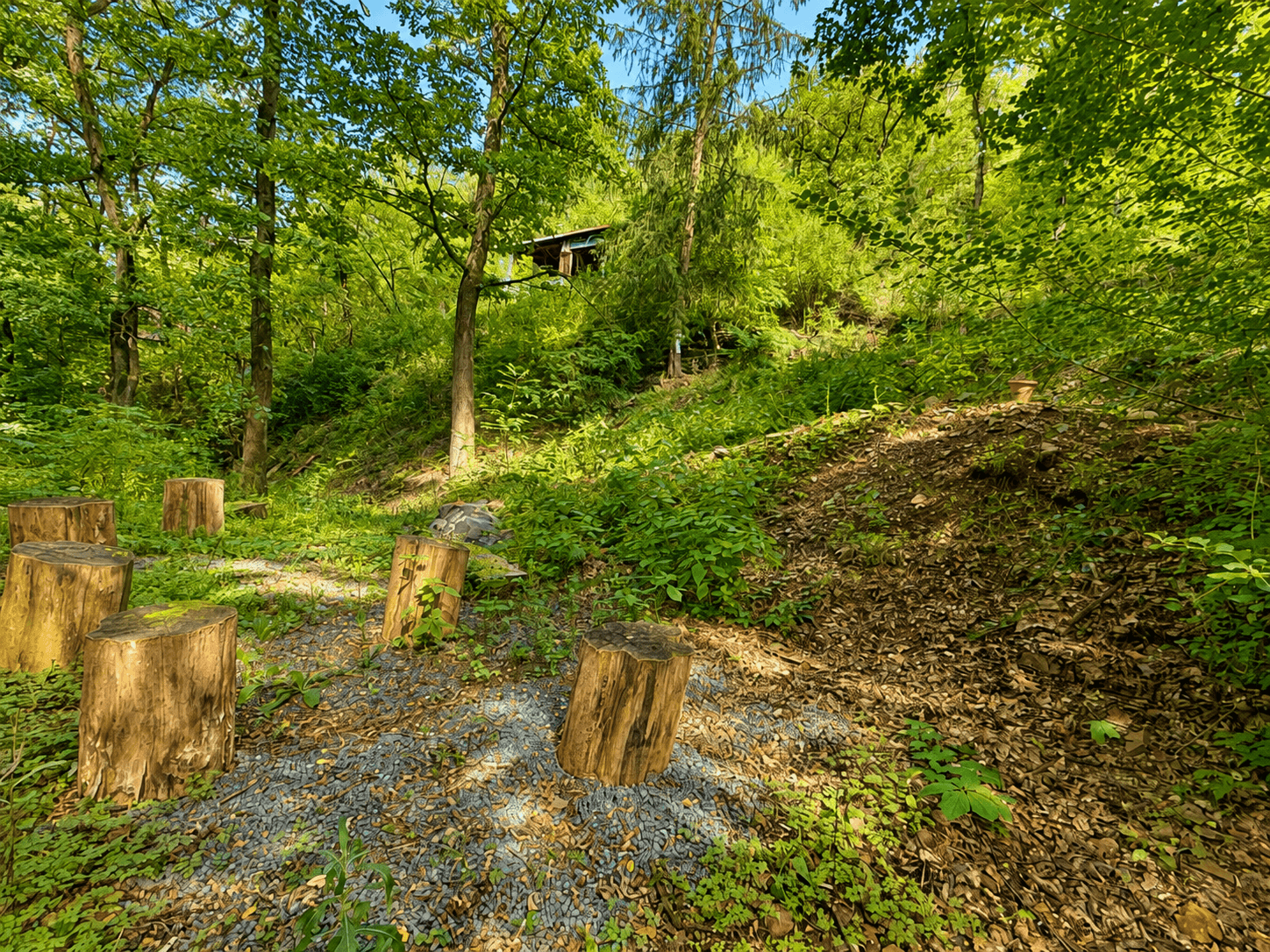 Prodej chaty, chalupy 32 m², pozemek 1.313 m², Draháňské údolí, Zdiby, Středočeský kraj Prodej chaty, chalupy 32 m², pozemek 1.313 m², Draháňské údolí, Zdiby, Středočeský kraj