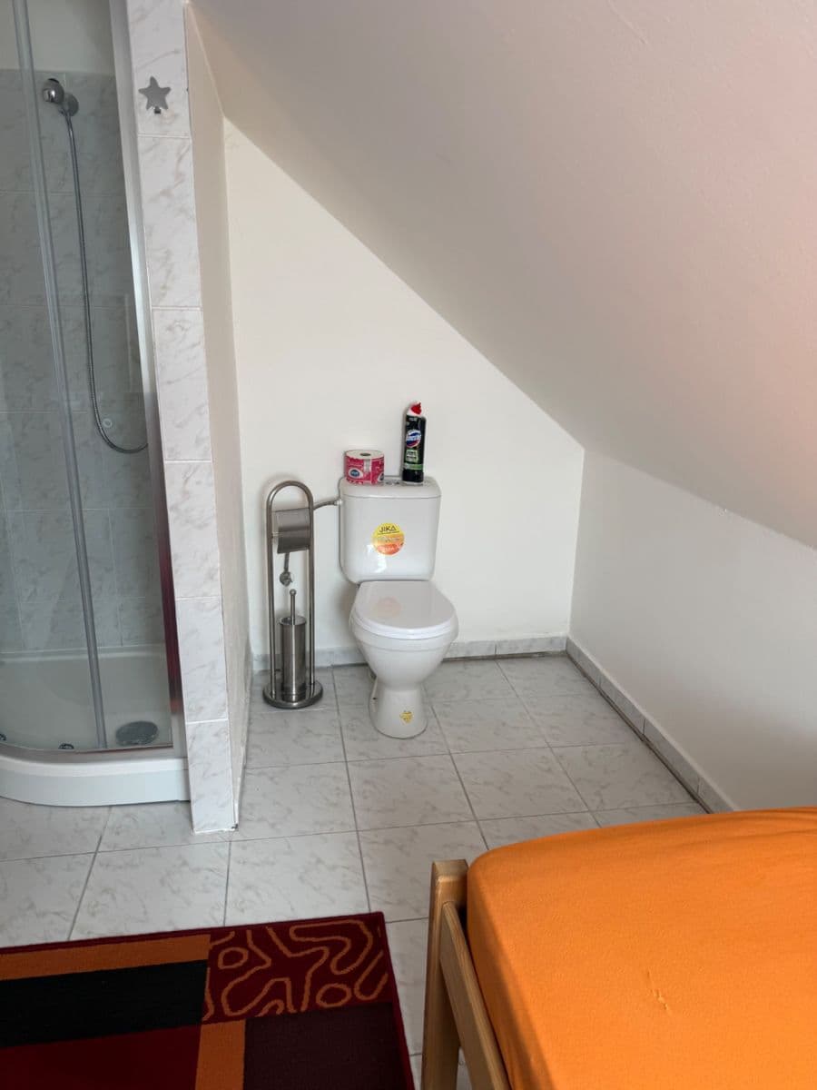 Pronájem bytu 1+kk 18 m², V Podlískách, Braškov, Středočeský kraj Pronájem bytu 1+kk 18 m², V Podlískách, Braškov, Středočeský kraj
