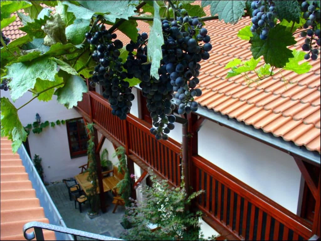Pronájem bytu 2+kk 38 m², Na Vinohradu, Praha, Praha Pronájem bytu 2+kk 38 m², Na Vinohradu, Praha, Praha