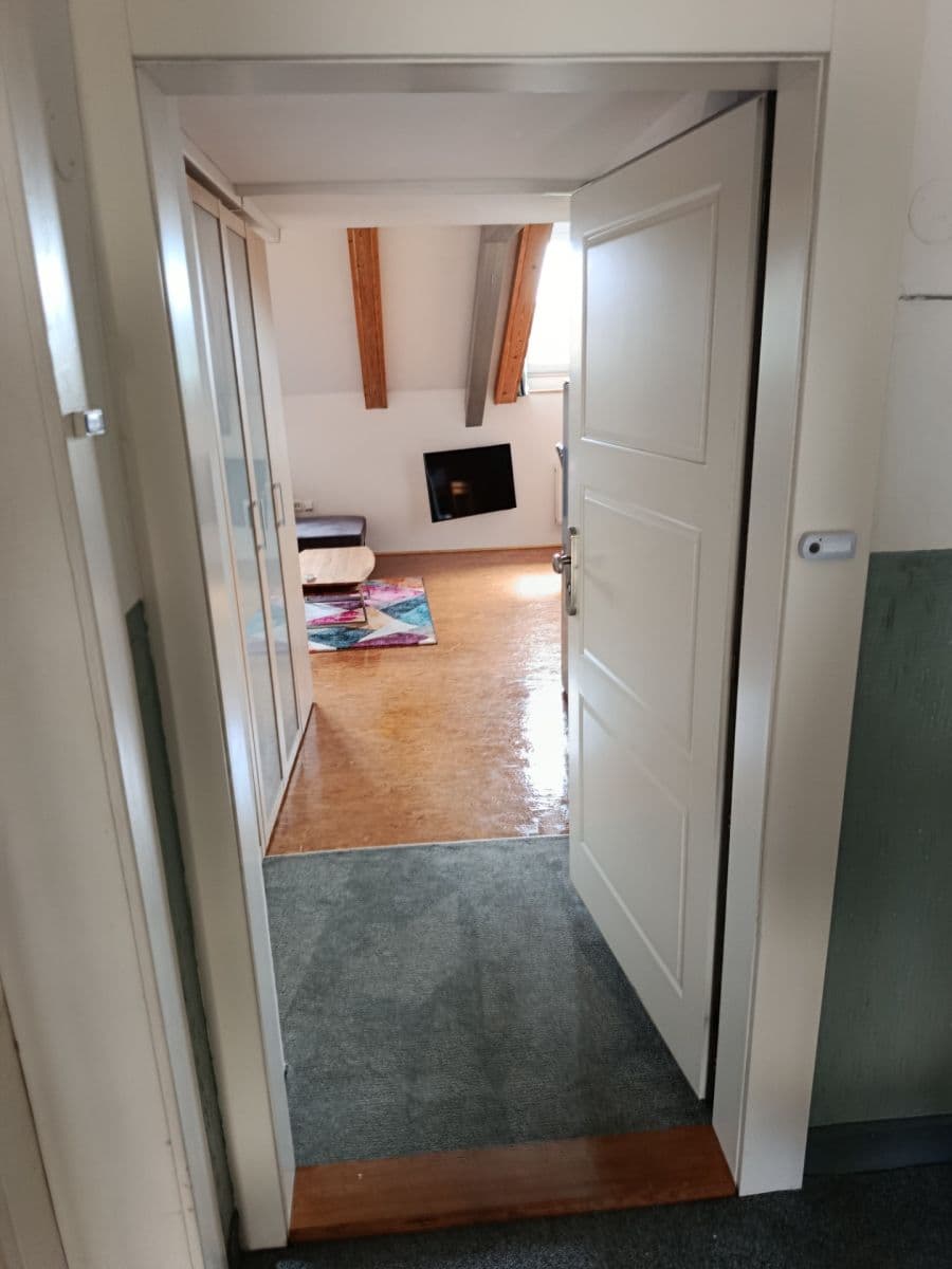 Pronájem bytu 1+kk 50 m², Václavkova, Praha, Praha Pronájem bytu 1+kk 50 m², Václavkova, Praha, Praha