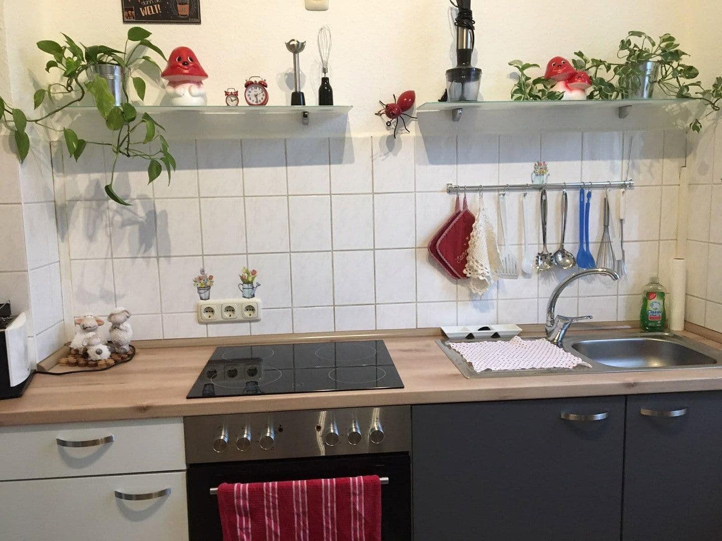 Pronájem bytu 3+1 72 m², Güstrow, Mecklenburg-Vorpommern Pronájem bytu 3+1 72 m², Güstrow, Mecklenburg-Vorpommern