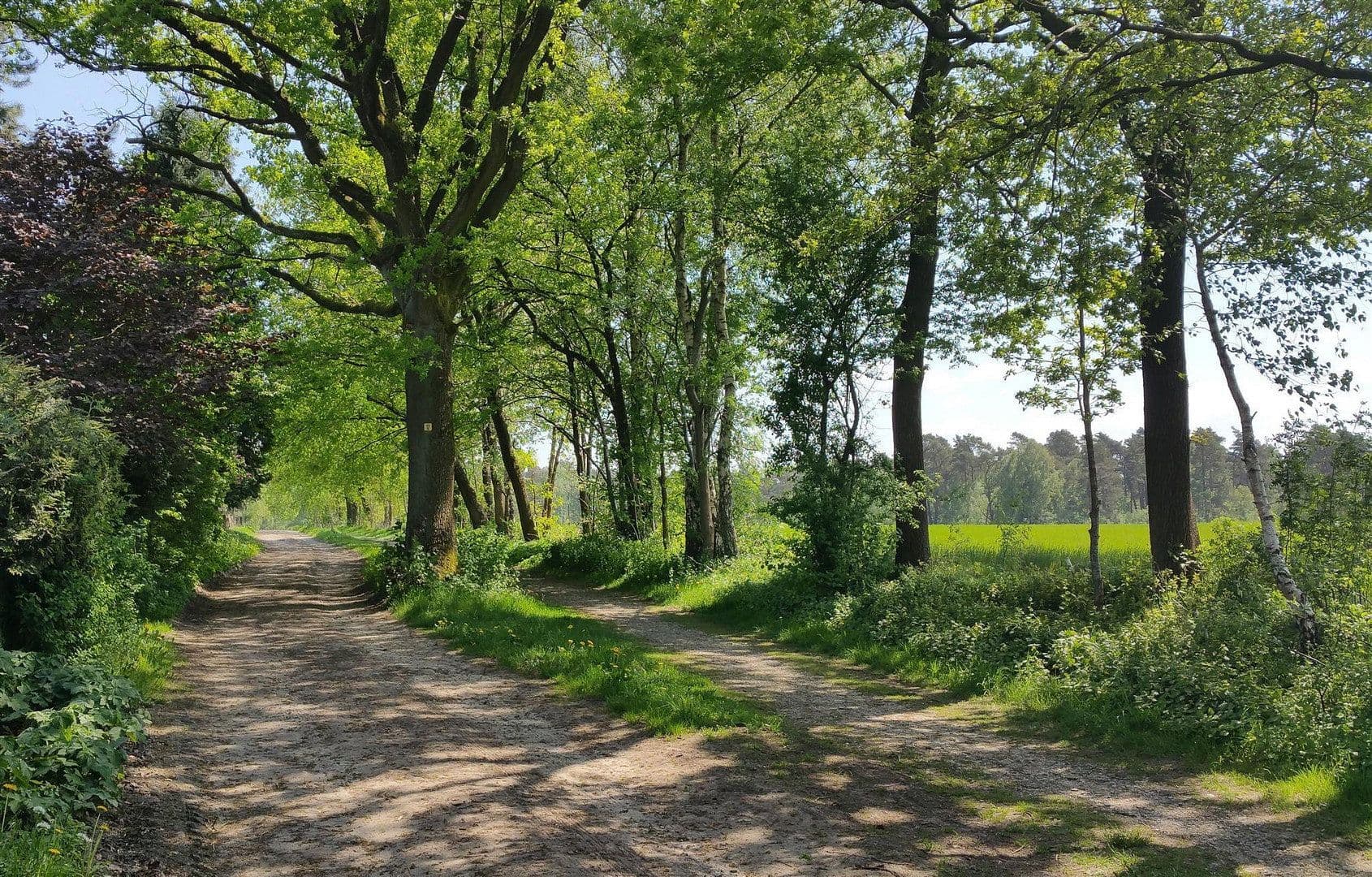 Prodej bytu 1+1 30 m², Lehmkuhle 1, Undeloh, Dolní Sasko Prodej bytu 1+1 30 m², Lehmkuhle 1, Undeloh, Dolní Sasko