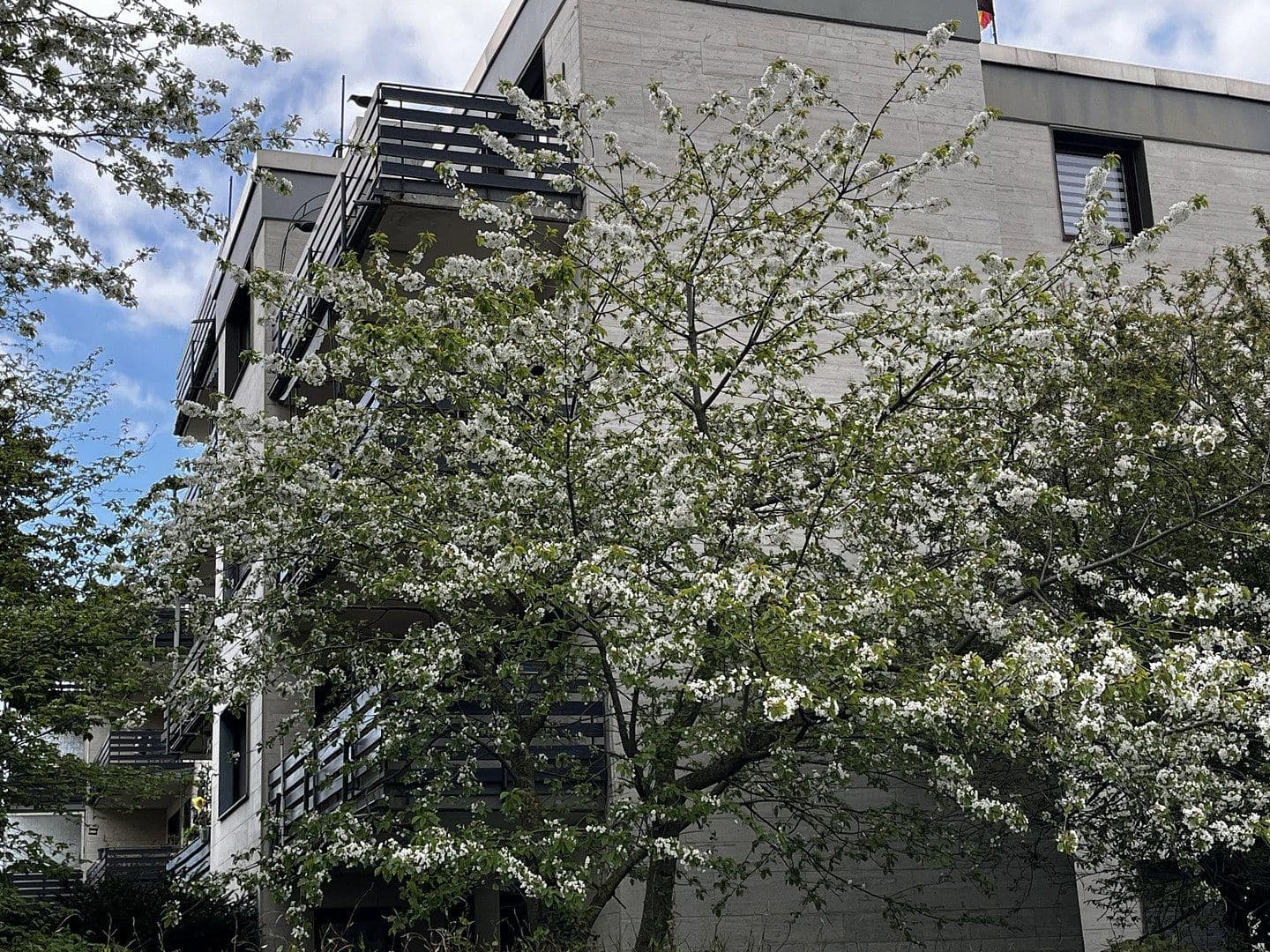 Pronájem bytu 3+1 92 m², Im Wohnpark 38, Bergheim, Severní Porýní-Vestfálsko Pronájem bytu 3+1 92 m², Im Wohnpark 38, Bergheim, Severní Porýní-Vestfálsko