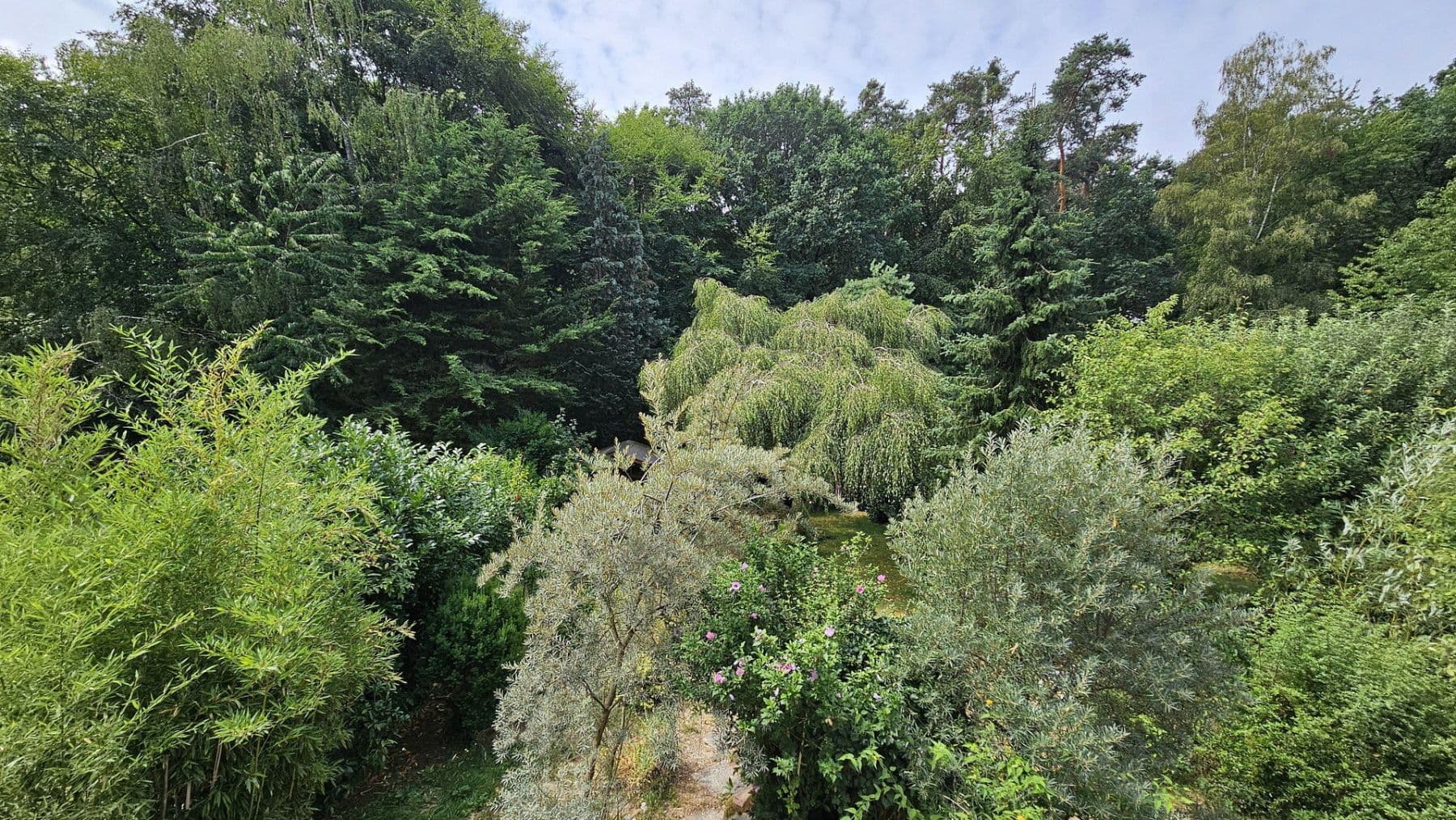 Prodej domu 130 m², pozemek 255 m², Im Buchwald 39, Heusenstamm, Hessen Prodej domu 130 m², pozemek 255 m², Im Buchwald 39, Heusenstamm, Hessen
