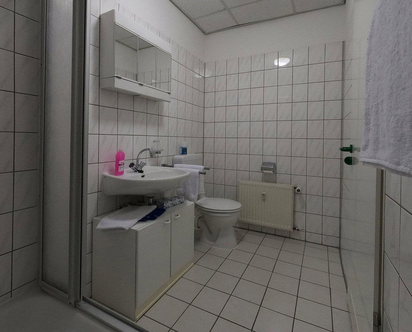 Pronájem bytu 3+1 114 m², Steinbergstr. 3, Leipzig OT Holzhausen, Sasko Pronájem bytu 3+1 114 m², Steinbergstr. 3, Leipzig OT Holzhausen, Sasko