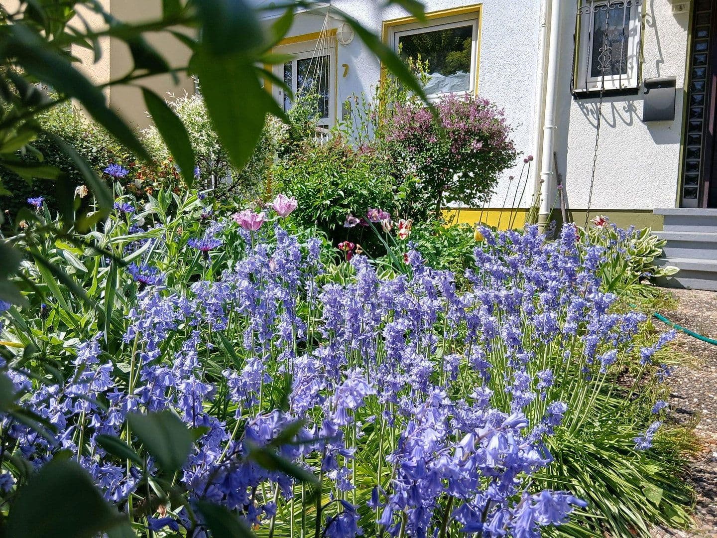 Prodej domu 157 m², pozemek 154 m², Frankfurt am Main, Hessen Prodej domu 157 m², pozemek 154 m², Frankfurt am Main, Hessen