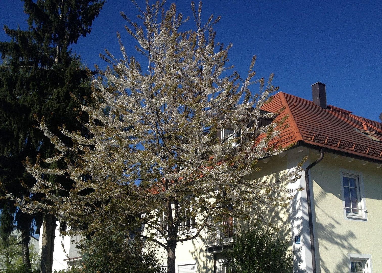 Pronájem bytu 3+1 90 m², München, Bavorsko Pronájem bytu 3+1 90 m², München, Bavorsko