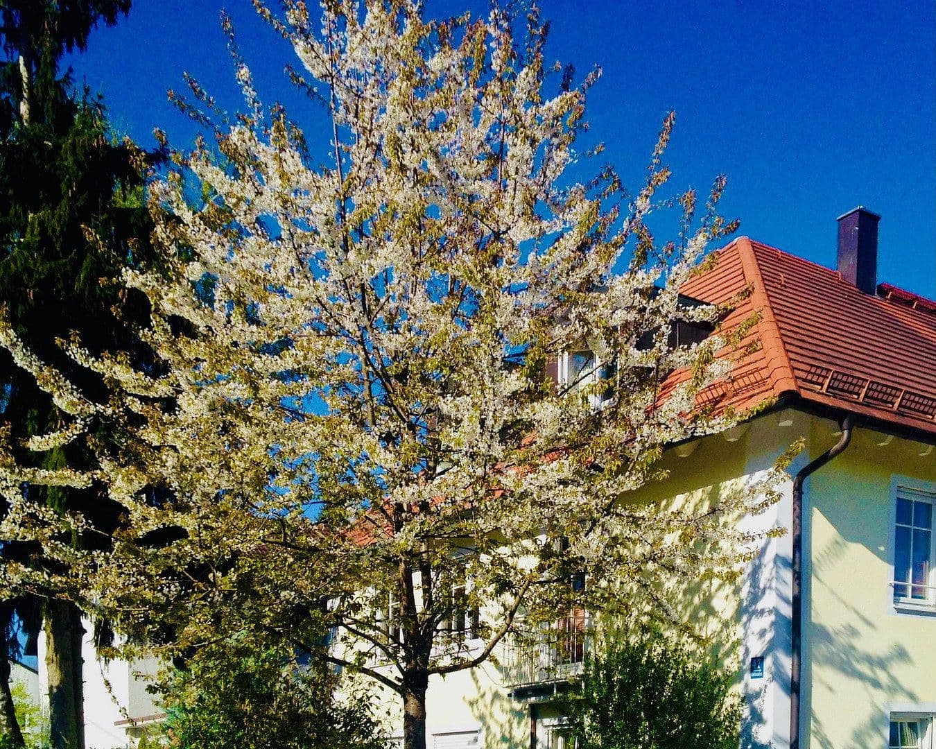 Pronájem bytu 3+1 90 m², München, Bavorsko Pronájem bytu 3+1 90 m², München, Bavorsko