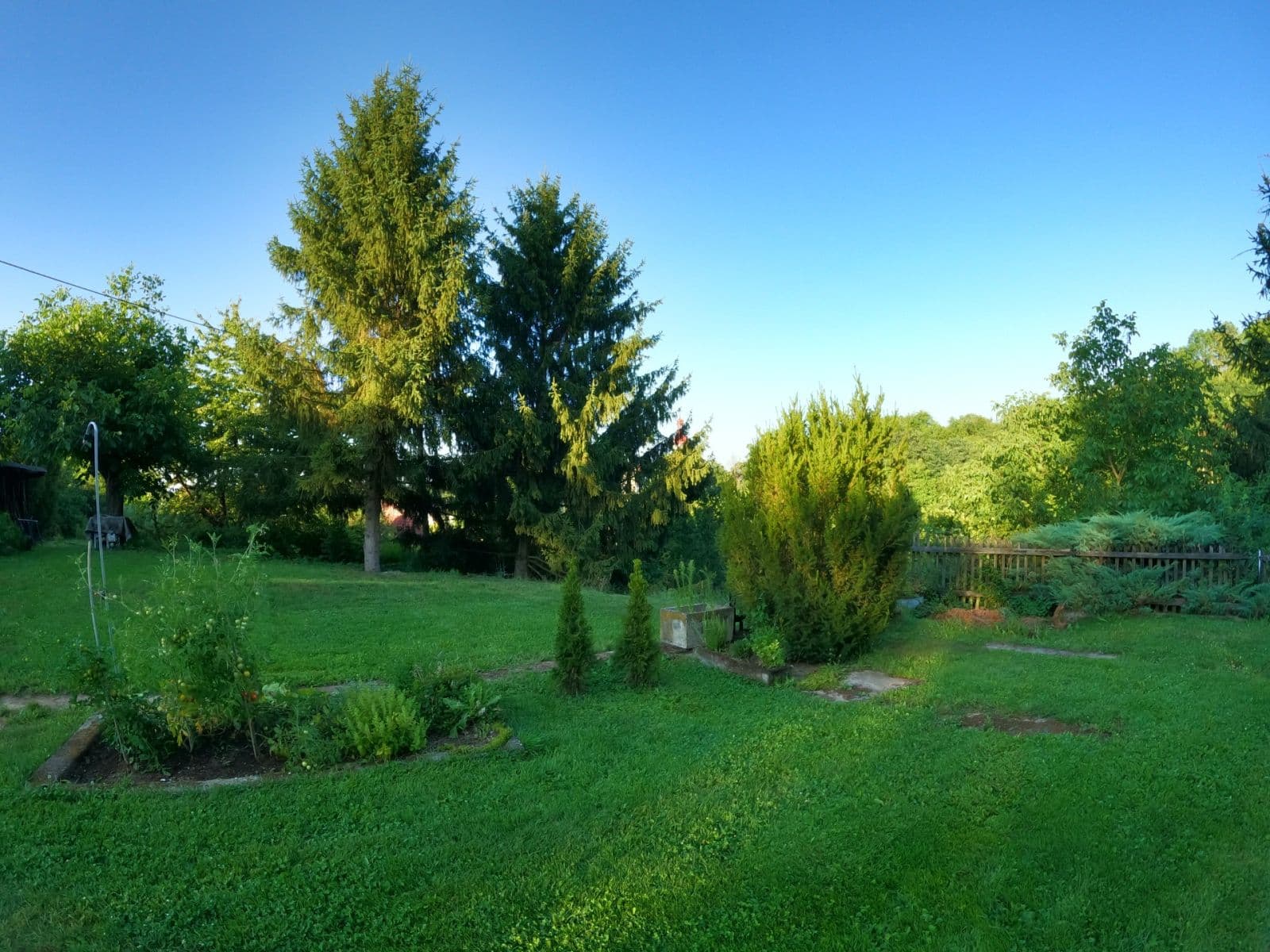 Prodej domu 140 m², pozemek 3.550 m², Kojice, Pardubický kraj Prodej domu 140 m², pozemek 3.550 m², Kojice, Pardubický kraj
