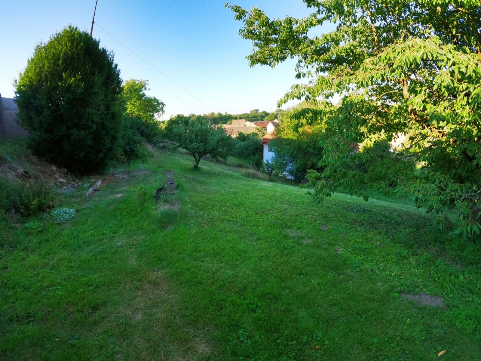 Prodej domu 140 m², pozemek 3.550 m², Kojice, Pardubický kraj Prodej domu 140 m², pozemek 3.550 m², Kojice, Pardubický kraj