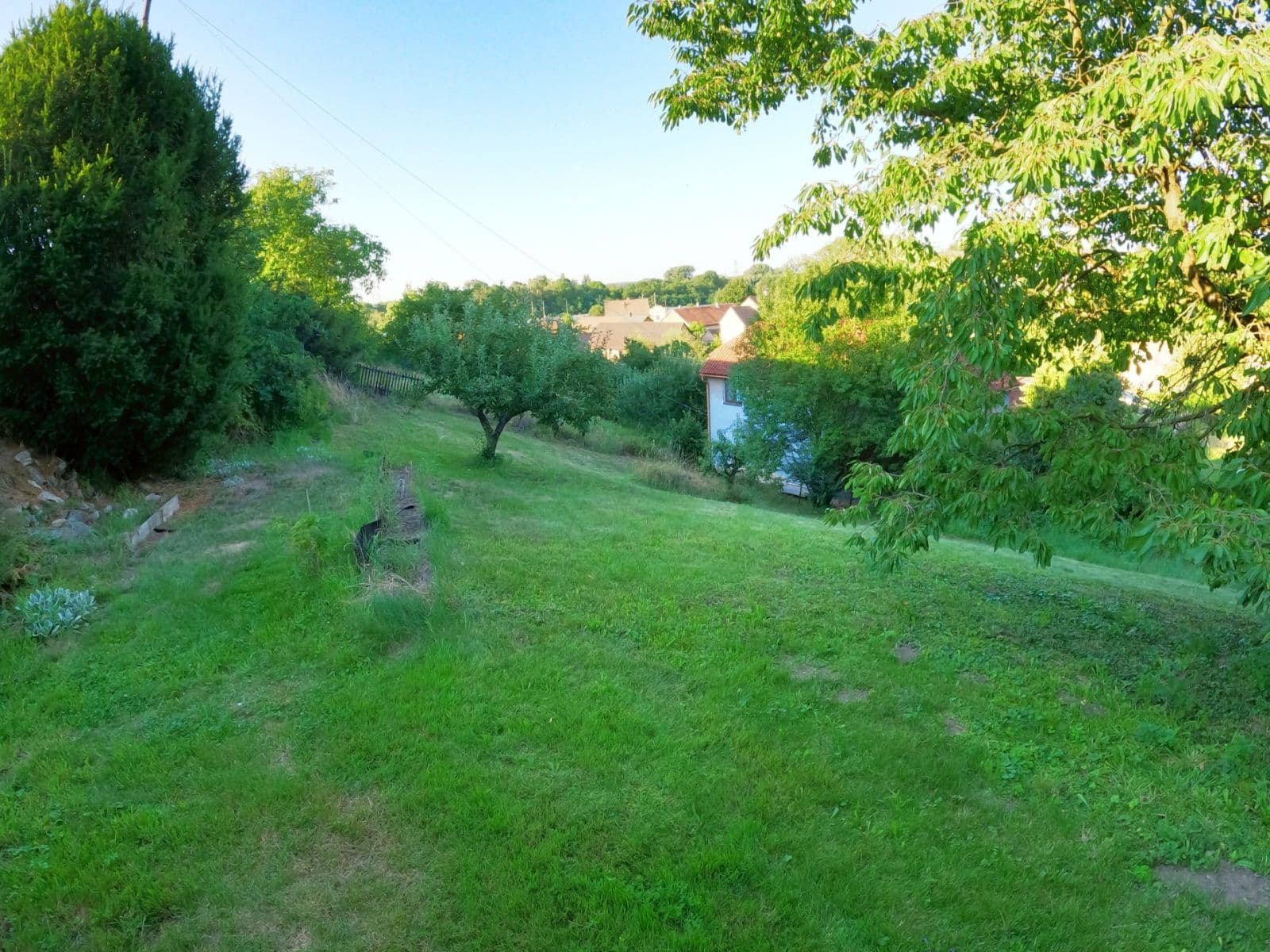 Prodej domu 140 m², pozemek 3.550 m², Kojice, Pardubický kraj Prodej domu 140 m², pozemek 3.550 m², Kojice, Pardubický kraj