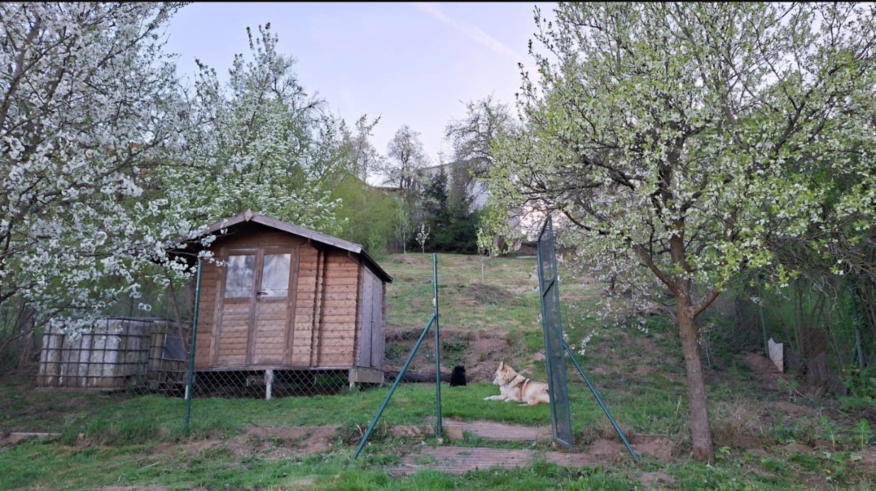 Prodej pozemku 1.000 m², Všechovice, Jihomoravský kraj Prodej pozemku 1.000 m², Všechovice, Jihomoravský kraj