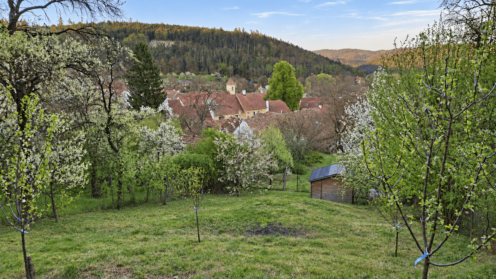 Prodej pozemku 1.000 m², Všechovice, Jihomoravský kraj Prodej pozemku 1.000 m², Všechovice, Jihomoravský kraj