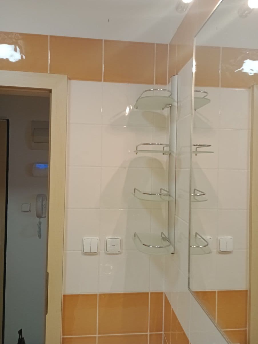 Prodej bytu Garsoniéra 34 m², Pampelišková, Ostrava, Moravskoslezský kraj Prodej bytu Garsoniéra 34 m², Pampelišková, Ostrava, Moravskoslezský kraj