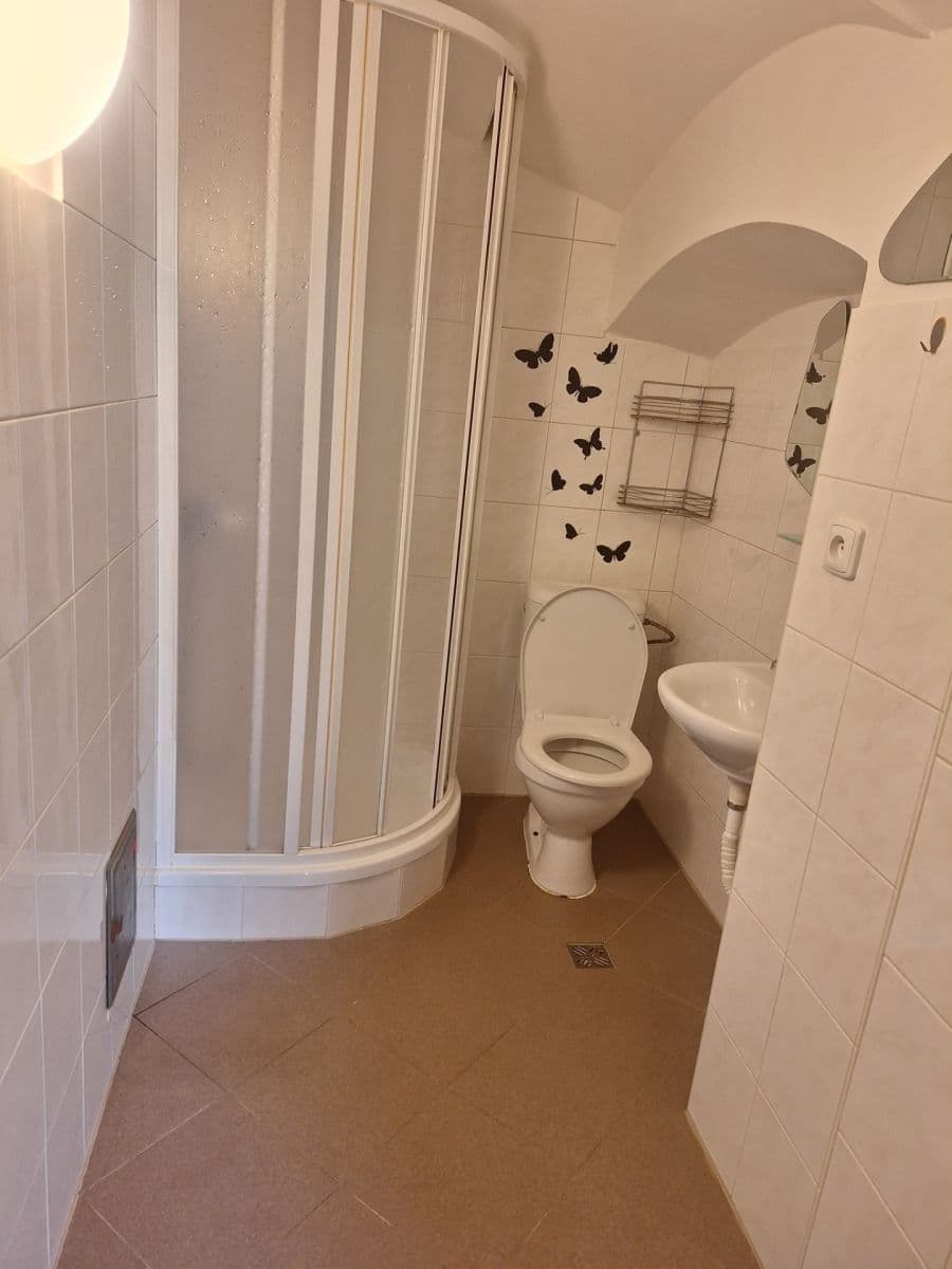 Pronájem bytu Garsoniéra 31 m², Družstevní, Kněževes, Středočeský kraj Pronájem bytu Garsoniéra 31 m², Družstevní, Kněževes, Středočeský kraj