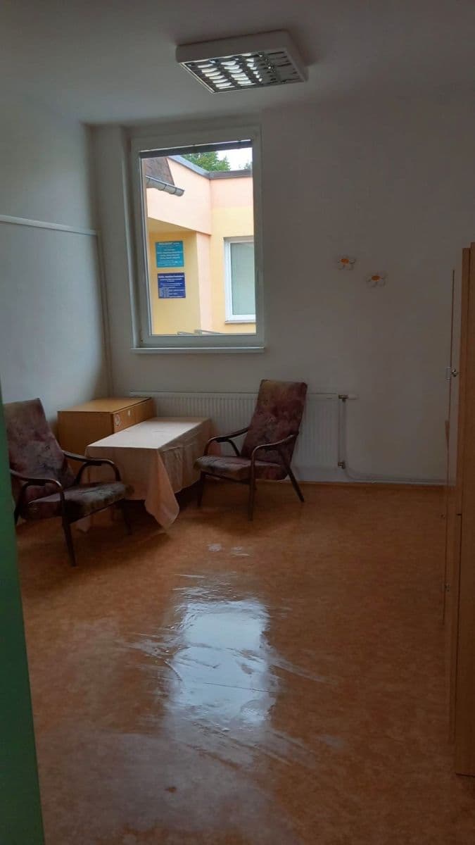 Pronájem nebytového prostoru 95 m², Aloisina výšina, Liberec, Liberecký kraj Pronájem nebytového prostoru 95 m², Aloisina výšina, Liberec, Liberecký kraj