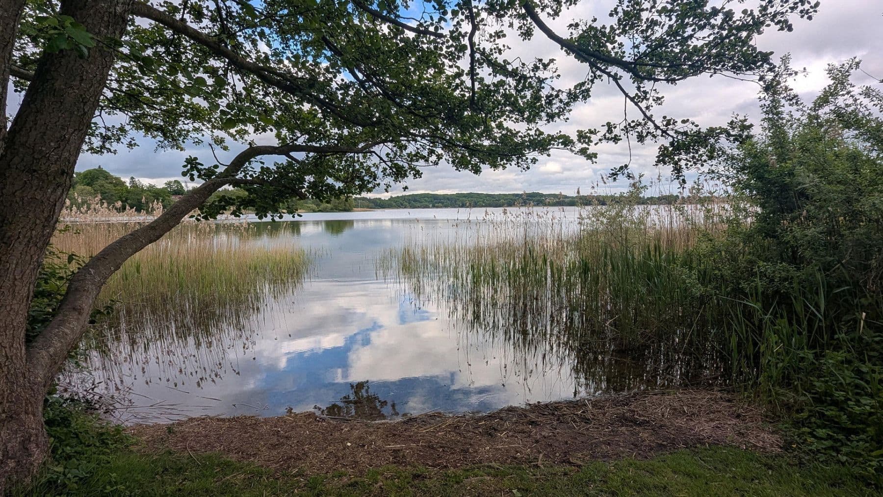 Prodej bytu 3+1 52 m², Scharbeutzer Str. 16, Pönitz am See, Šlesvicko-Holštýnsko Prodej bytu 3+1 52 m², Scharbeutzer Str. 16, Pönitz am See, Šlesvicko-Holštýnsko