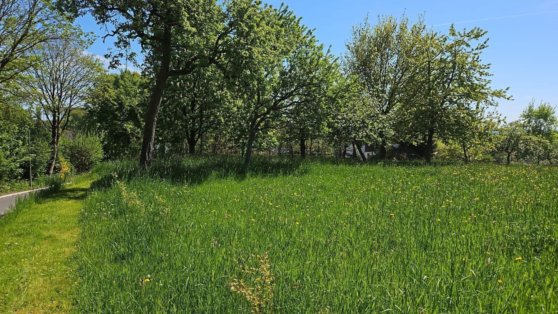 Prodej pozemku 726 m², Hauptstraße 26, Busenhausen, Porýní-Falc Prodej pozemku 726 m², Hauptstraße 26, Busenhausen, Porýní-Falc
