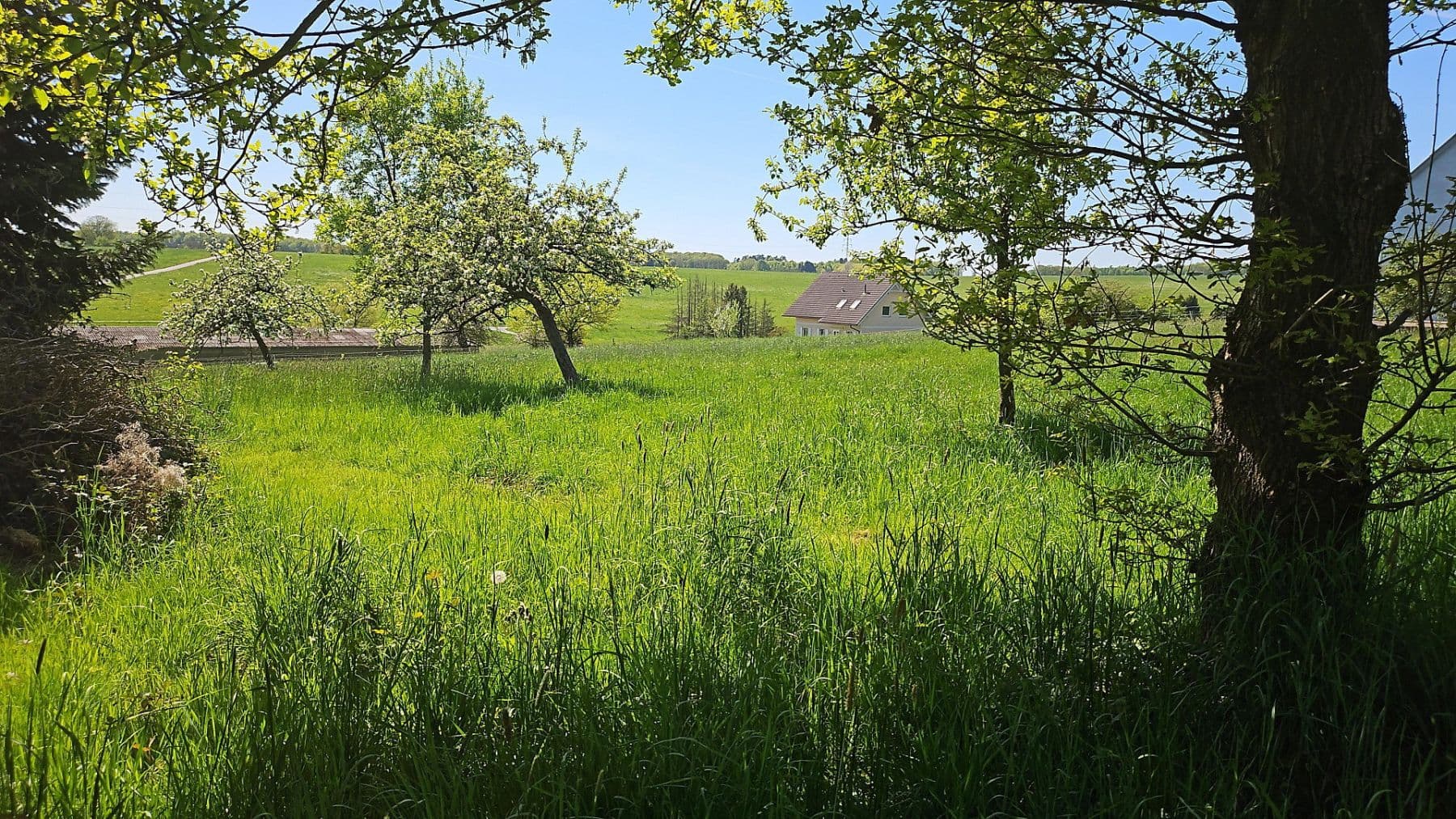 Prodej pozemku 726 m², Hauptstraße 26, Busenhausen, Porýní-Falc Prodej pozemku 726 m², Hauptstraße 26, Busenhausen, Porýní-Falc