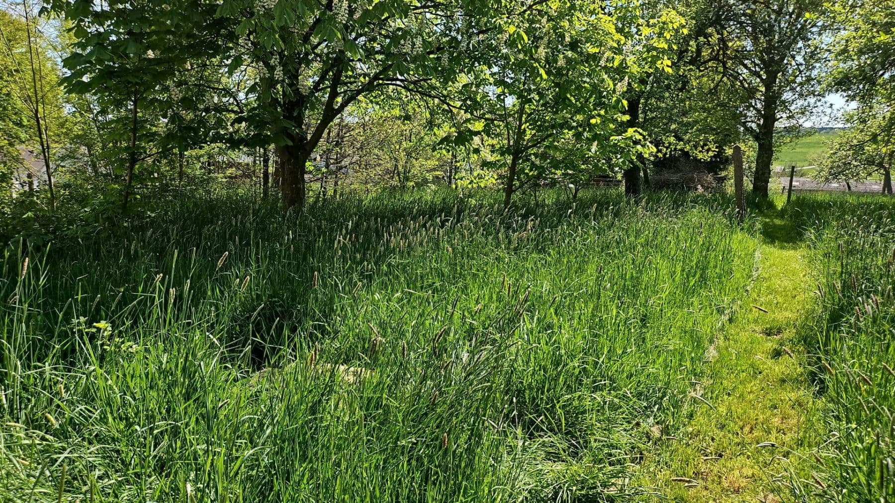 Prodej pozemku 726 m², Hauptstraße 26, Busenhausen, Porýní-Falc Prodej pozemku 726 m², Hauptstraße 26, Busenhausen, Porýní-Falc