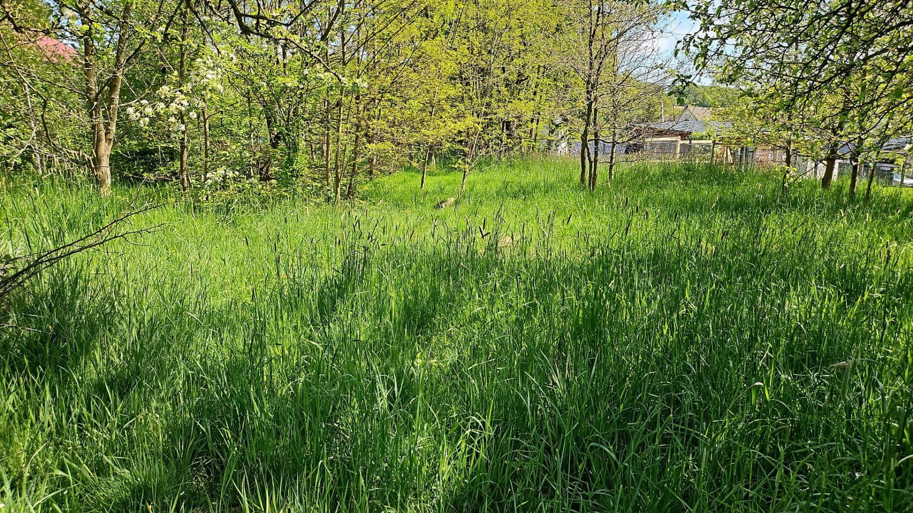 Prodej pozemku 726 m², Hauptstraße 26, Busenhausen, Porýní-Falc Prodej pozemku 726 m², Hauptstraße 26, Busenhausen, Porýní-Falc