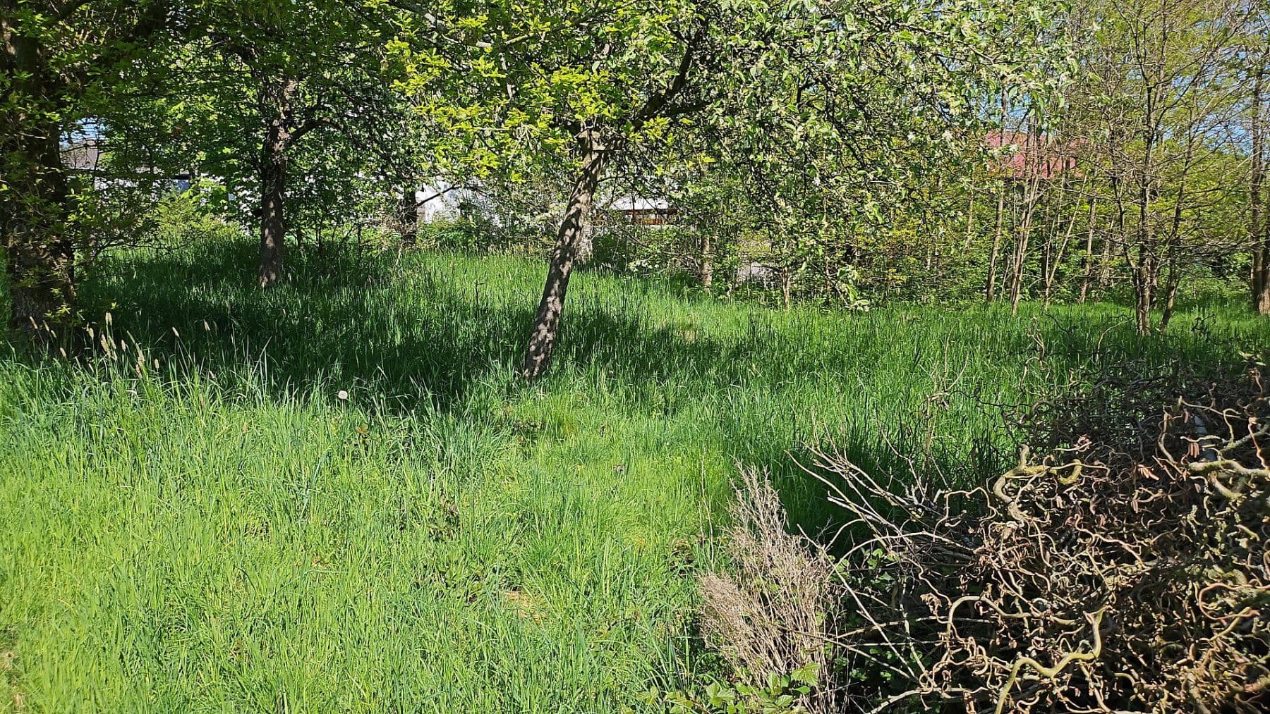 Prodej pozemku 726 m², Hauptstraße 26, Busenhausen, Porýní-Falc Prodej pozemku 726 m², Hauptstraße 26, Busenhausen, Porýní-Falc