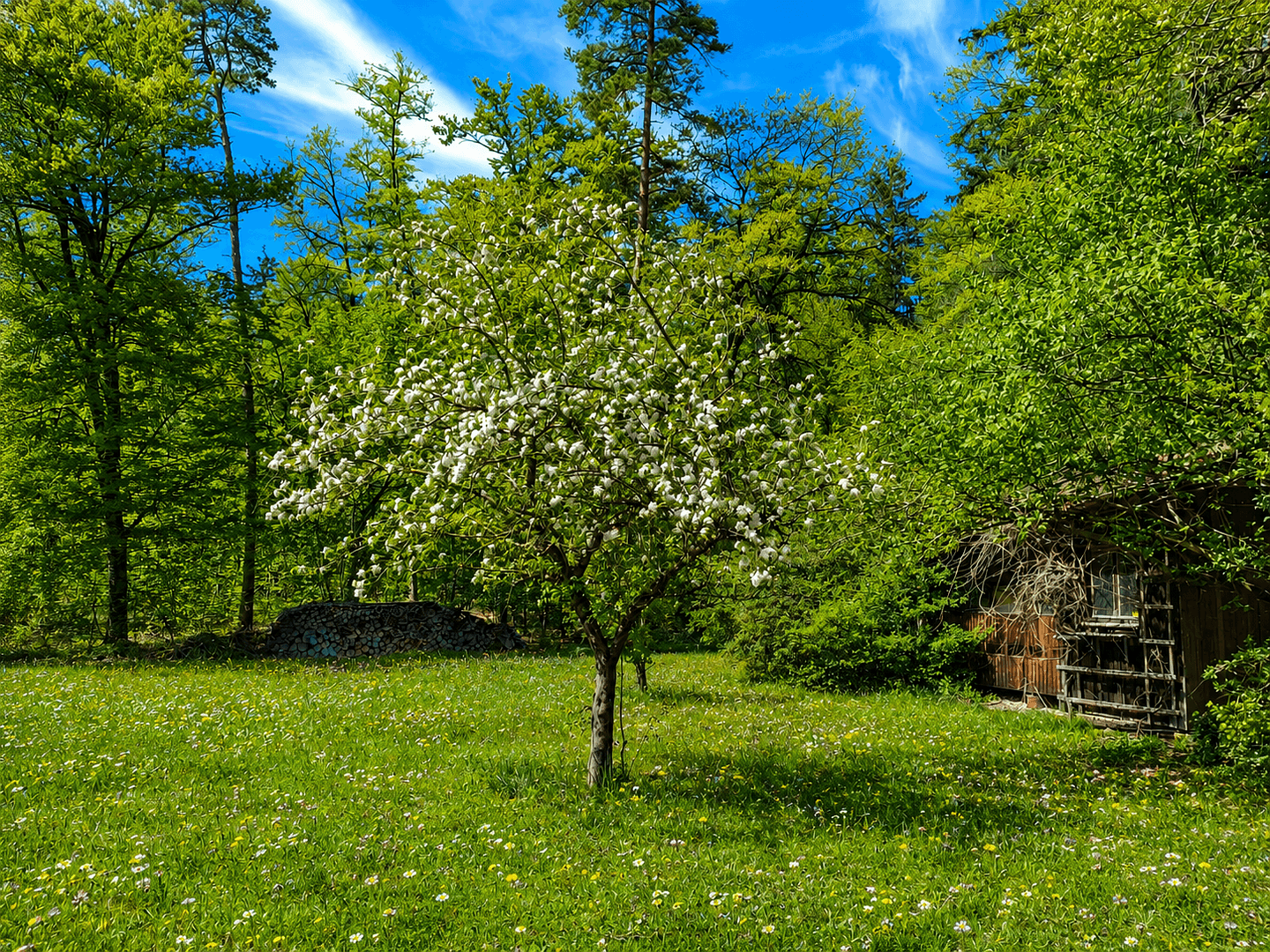 Prodej domu 250 m², pozemek 2.300 m², Emmerting, Bavorsko Prodej domu 250 m², pozemek 2.300 m², Emmerting, Bavorsko