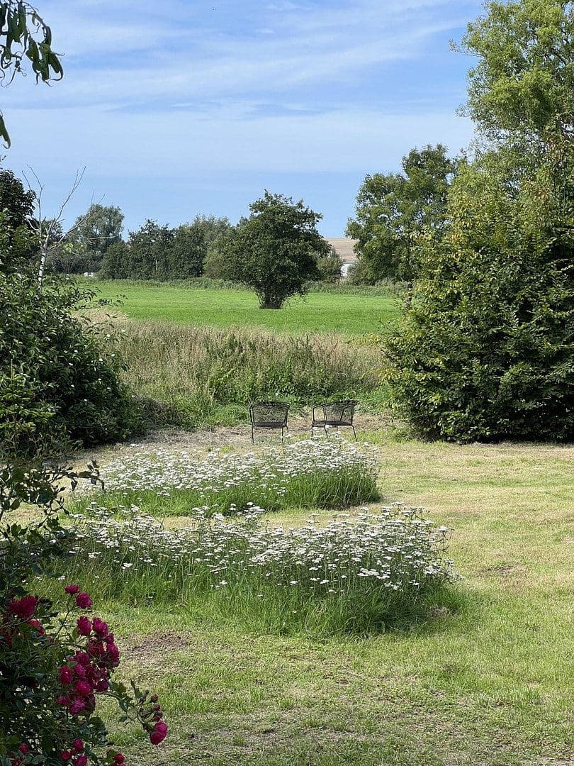 Prodej domu 366 m², pozemek 13.600 m², Dorfstraße, 16, Neuenkirchen, Mecklenburg-Vorpommern Prodej domu 366 m², pozemek 13.600 m², Dorfstraße, 16, Neuenkirchen, Mecklenburg-Vorpommern
