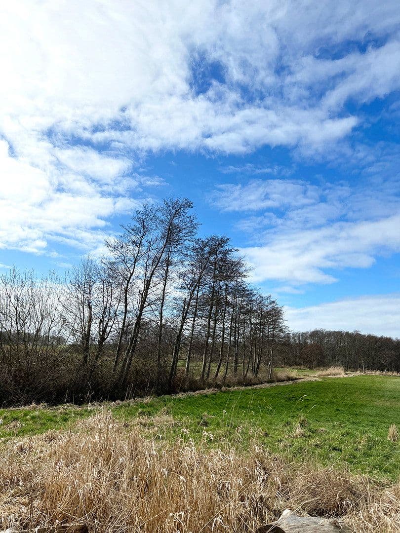 Prodej domu 366 m², pozemek 13.600 m², Dorfstraße, 16, Neuenkirchen, Mecklenburg-Vorpommern Prodej domu 366 m², pozemek 13.600 m², Dorfstraße, 16, Neuenkirchen, Mecklenburg-Vorpommern