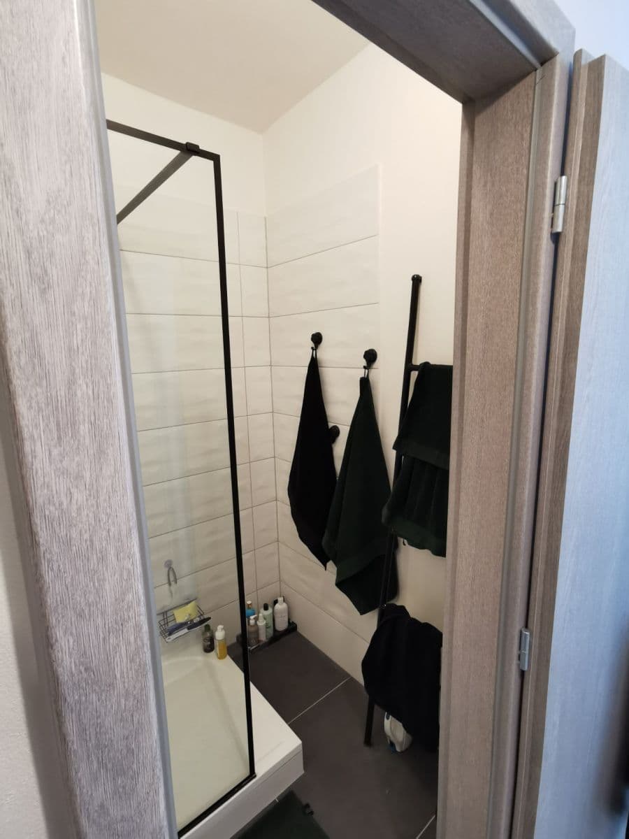 Pronájem bytu 2+kk 50 m², Nopova, Brno, Jihomoravský kraj Pronájem bytu 2+kk 50 m², Nopova, Brno, Jihomoravský kraj