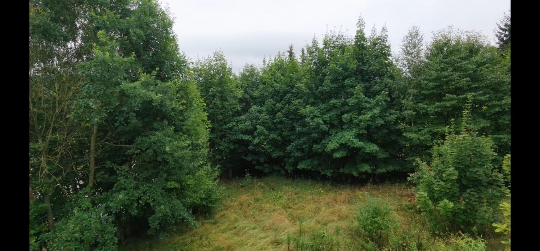 Prodej pozemku 846 m², Citice, Karlovarský kraj Prodej pozemku 846 m², Citice, Karlovarský kraj