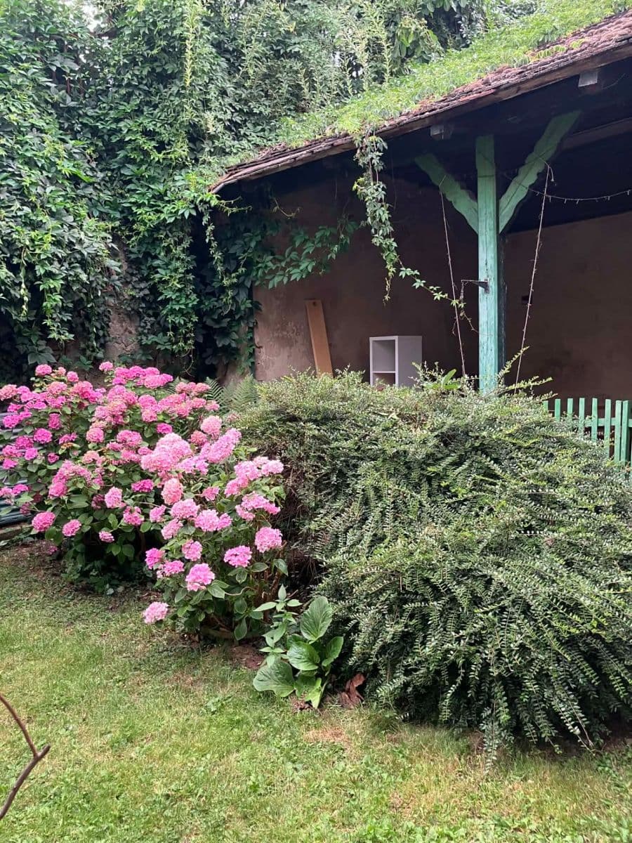 Pronájem bytu 2+kk 40 m², Na Zlíchově, Praha, Praha Pronájem bytu 2+kk 40 m², Na Zlíchově, Praha, Praha
