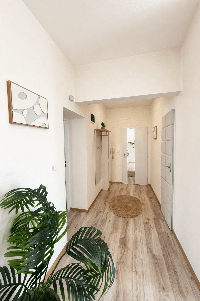 Pronájem bytu 2+1 60 m², Palackého, Znojmo, Jihomoravský kraj Pronájem bytu 2+1 60 m², Palackého, Znojmo, Jihomoravský kraj