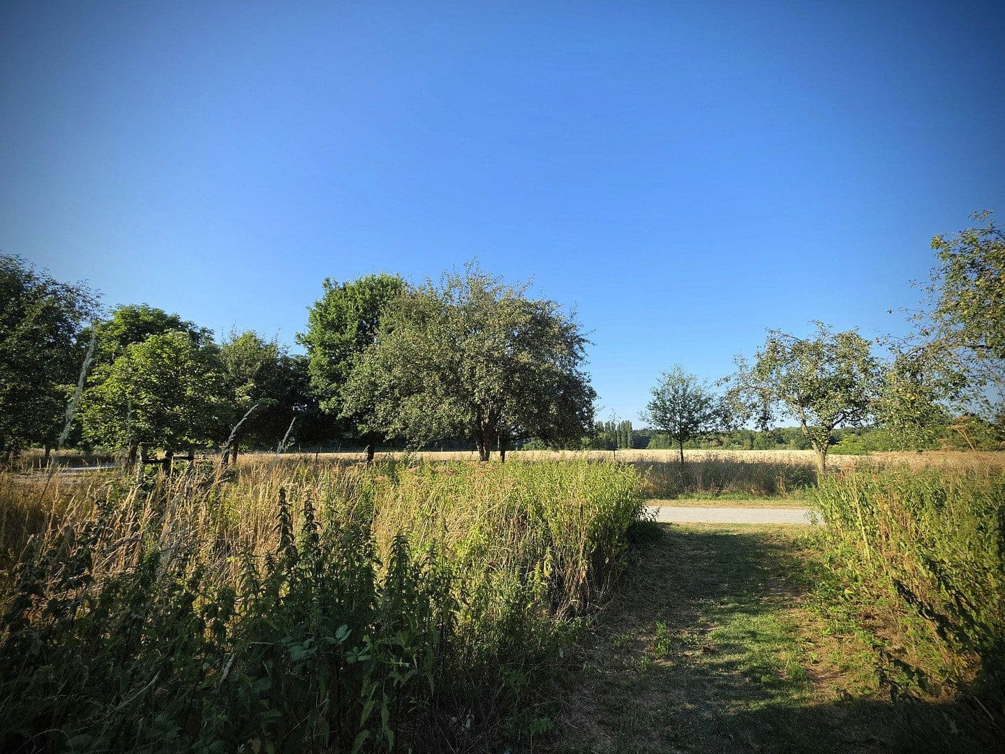 Prodej domu 179 m², pozemek 450 m², Am Schleitershof 65, Krefeld, Severní Porýní-Vestfálsko Prodej domu 179 m², pozemek 450 m², Am Schleitershof 65, Krefeld, Severní Porýní-Vestfálsko