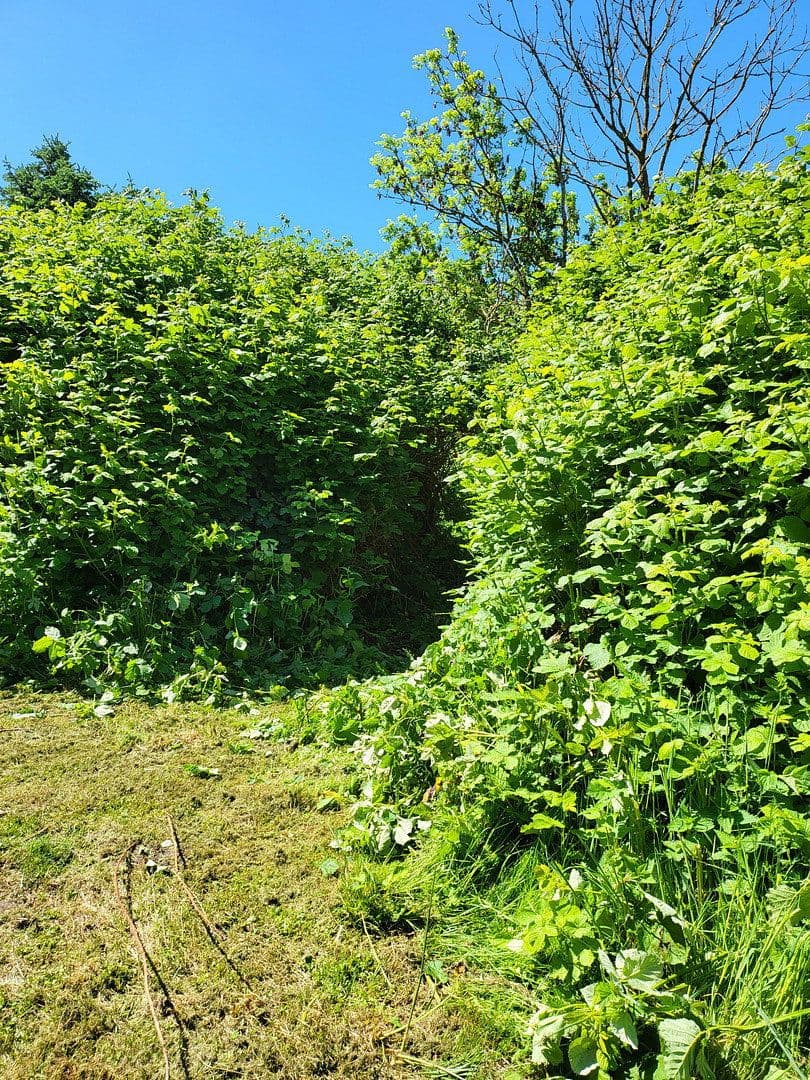 Prodej domu 300 m², pozemek 3.087 m², Wiek, Mecklenburg-Vorpommern Prodej domu 300 m², pozemek 3.087 m², Wiek, Mecklenburg-Vorpommern