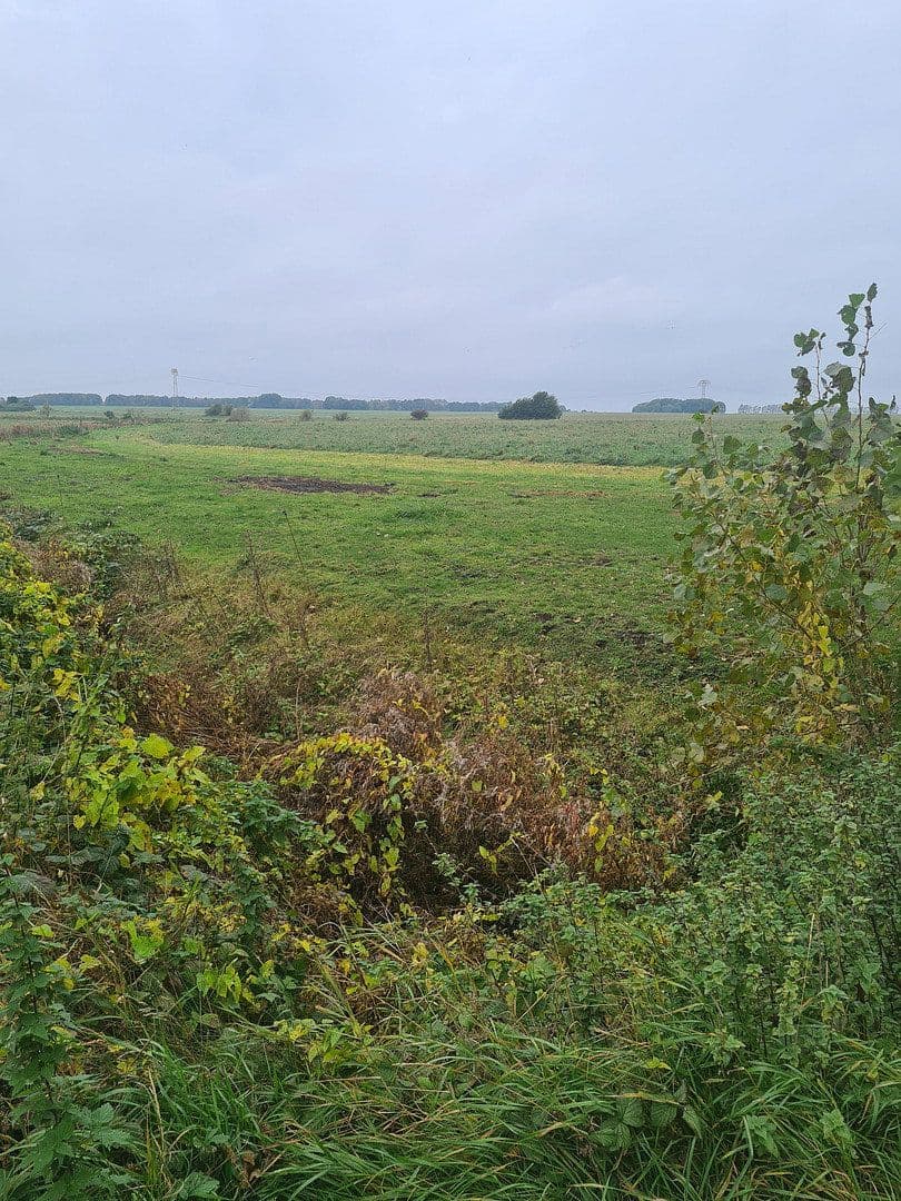 Prodej domu 300 m², pozemek 3.087 m², Wiek, Mecklenburg-Vorpommern Prodej domu 300 m², pozemek 3.087 m², Wiek, Mecklenburg-Vorpommern