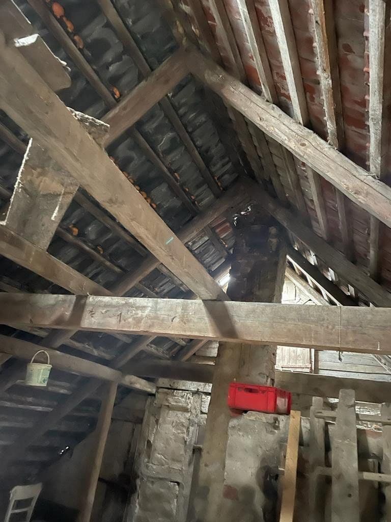 Prodej domu 300 m², pozemek 3.087 m², Wiek, Mecklenburg-Vorpommern Prodej domu 300 m², pozemek 3.087 m², Wiek, Mecklenburg-Vorpommern