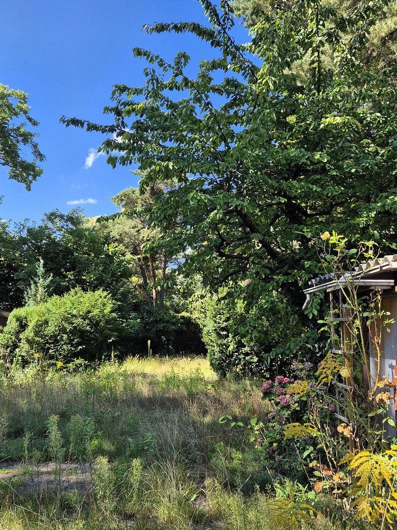 Prodej domu 142 m², pozemek 1.179 m², Zeuthen, Braniborsko Prodej domu 142 m², pozemek 1.179 m², Zeuthen, Braniborsko