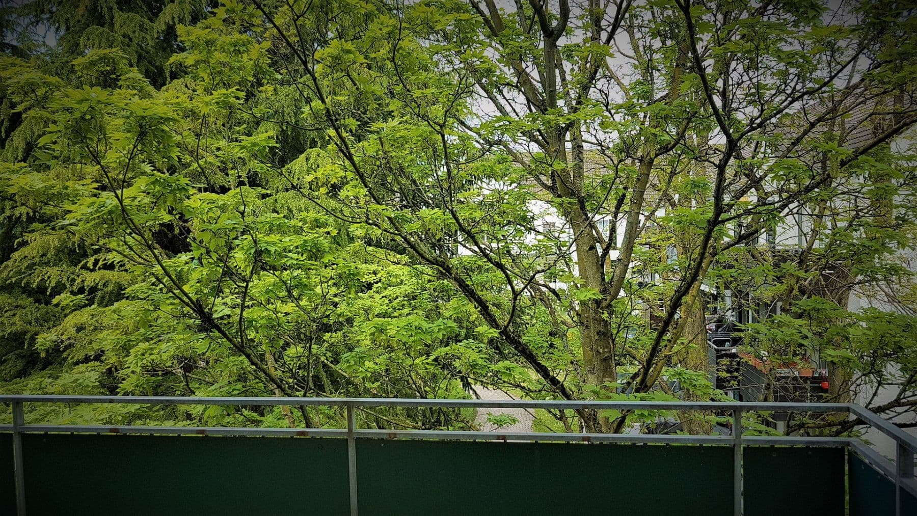 Pronájem bytu 3+1 70 m², In der Donk 34, Düsseldorf, Severní Porýní-Vestfálsko Pronájem bytu 3+1 70 m², In der Donk 34, Düsseldorf, Severní Porýní-Vestfálsko