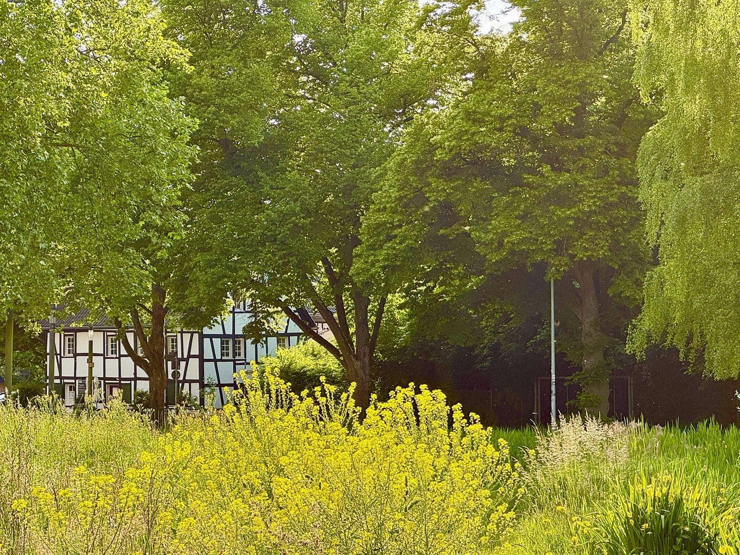 Prodej domu 375 m², pozemek 388 m², Bergisch Gladbach, Severní Porýní-Vestfálsko Prodej domu 375 m², pozemek 388 m², Bergisch Gladbach, Severní Porýní-Vestfálsko