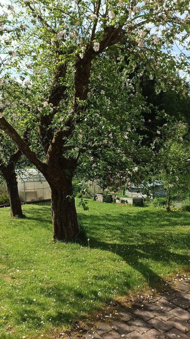 Prodej domu 240 m², pozemek 597 m², Reichshof, Severní Porýní-Vestfálsko Prodej domu 240 m², pozemek 597 m², Reichshof, Severní Porýní-Vestfálsko