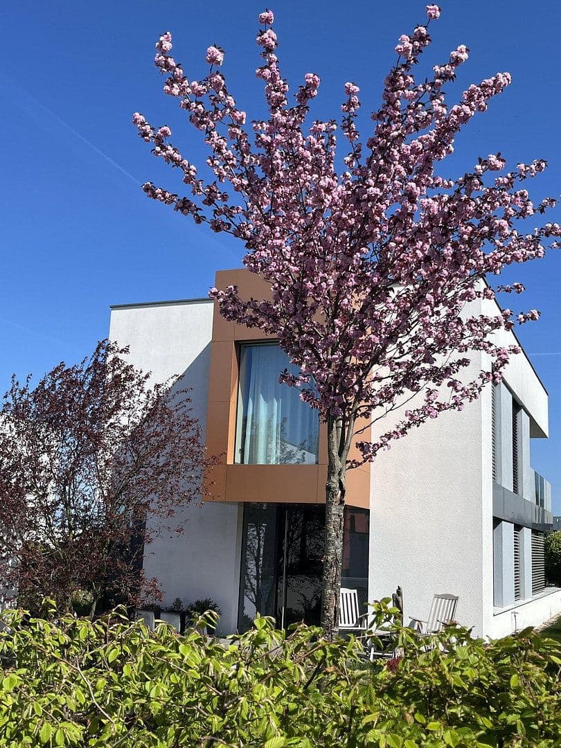 Prodej domu 173 m², pozemek 610 m², Zwenkau, Sasko Prodej domu 173 m², pozemek 610 m², Zwenkau, Sasko