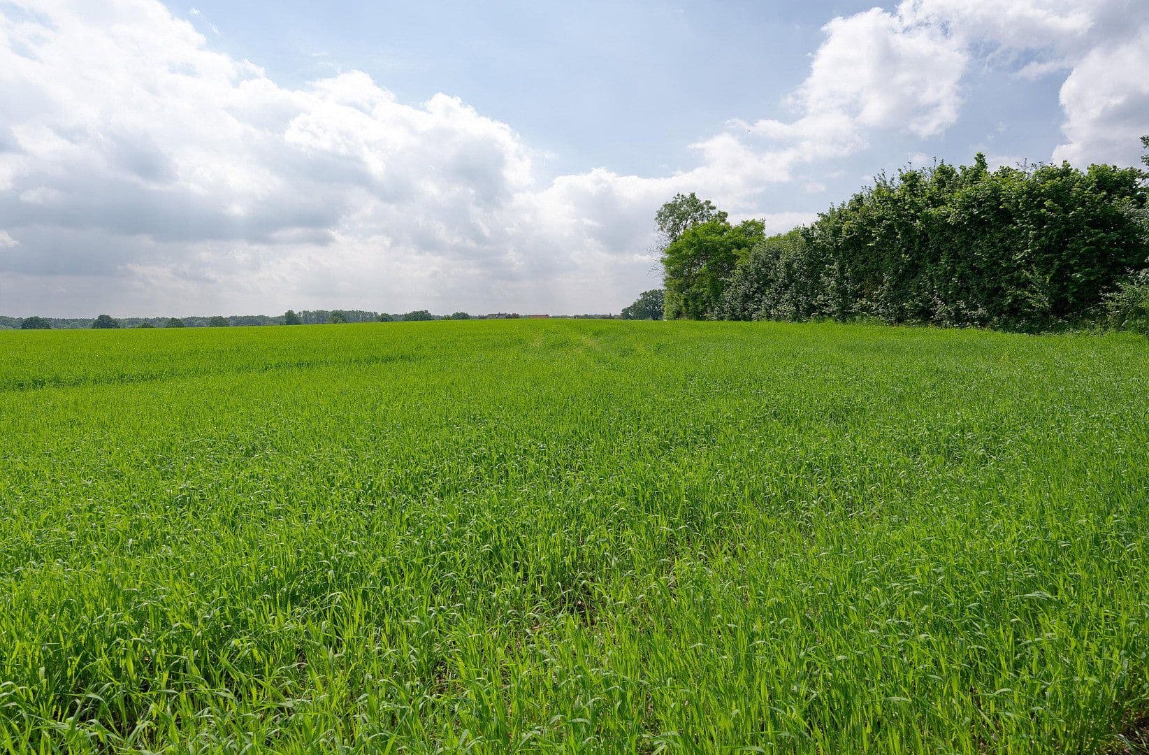 Prodej domu 445 m², pozemek 1.775 m², Wentorf (Amt Sandesneben), Šlesvicko-Holštýnsko Prodej domu 445 m², pozemek 1.775 m², Wentorf (Amt Sandesneben), Šlesvicko-Holštýnsko
