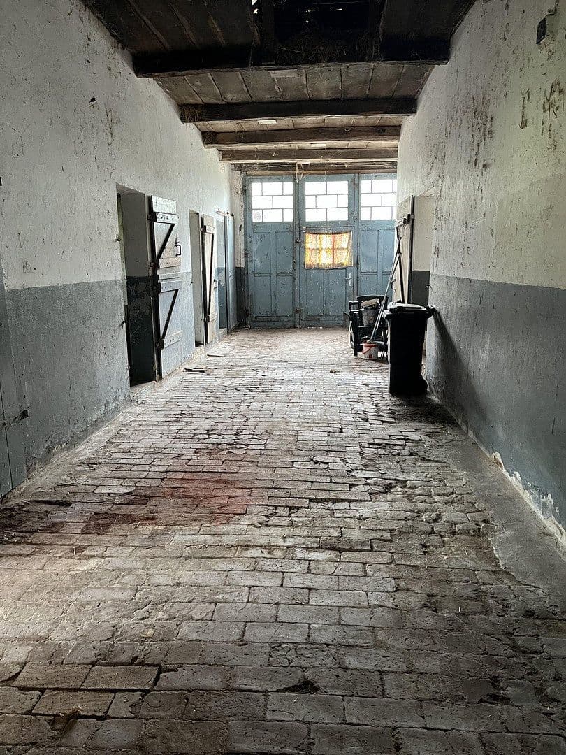 Prodej domu 160 m², pozemek 5.000 m², Stemwede, Severní Porýní-Vestfálsko Prodej domu 160 m², pozemek 5.000 m², Stemwede, Severní Porýní-Vestfálsko