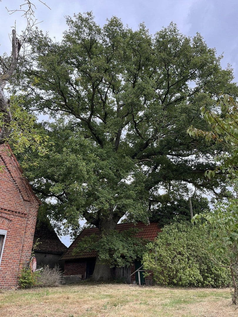 Prodej domu 160 m², pozemek 5.000 m², Stemwede, Severní Porýní-Vestfálsko Prodej domu 160 m², pozemek 5.000 m², Stemwede, Severní Porýní-Vestfálsko