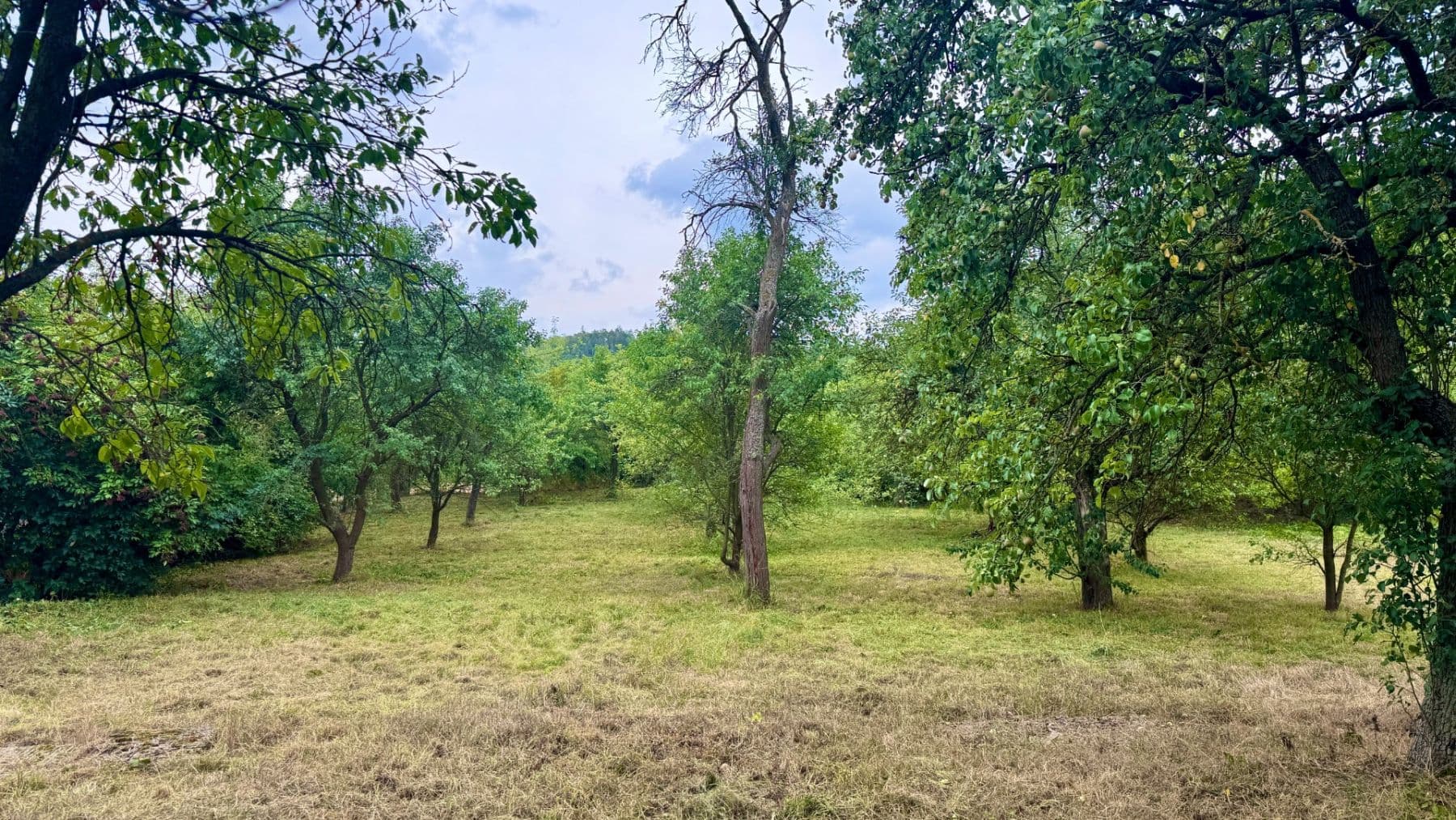 Prodej pozemku 853 m², Za Krétou, Tišnov, Jihomoravský kraj Prodej pozemku 853 m², Za Krétou, Tišnov, Jihomoravský kraj